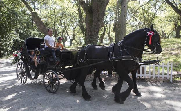 Las familias pueden, hoy, desplazarse en coches de caballos por el Botánico. 