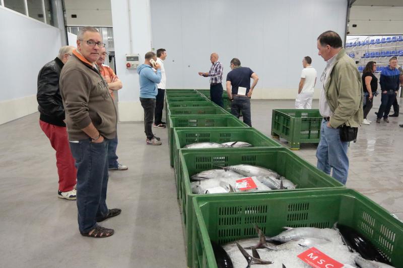 La subasta de más de 45.000 kilos de bonito en las rulas de Gijón y Avilés ha puesto fin a la campaña más corta de la historia. Cinco han sido los barcos que han desembarcado en Asturias, donde se ha alcanzado un precio máximo de nueve euros. 