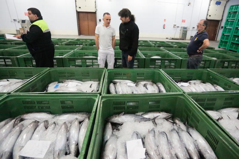 La subasta de más de 45.000 kilos de bonito en las rulas de Gijón y Avilés ha puesto fin a la campaña más corta de la historia. Cinco han sido los barcos que han desembarcado en Asturias, donde se ha alcanzado un precio máximo de nueve euros. 
