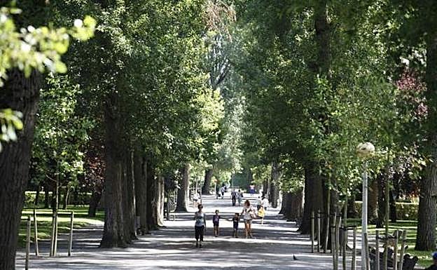 C's reclama más inversión y seguridad en Isabel la Católica