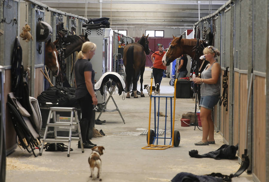 A pocas horas de que comience el CSIO 2018, el personal se afana para que todo esté listo en el recinto de Las Mestas. También los jinetes ponen a punto a sus caballos para evitar riesgos en la competición. 