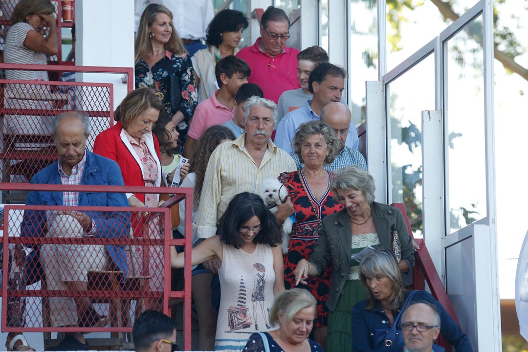 Fotos: ¿Estuviste en la tercera jornada del CSIO? ¡Búscate!