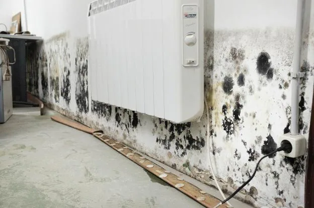 Un radiador de la sede, rodeado de humedades. 
