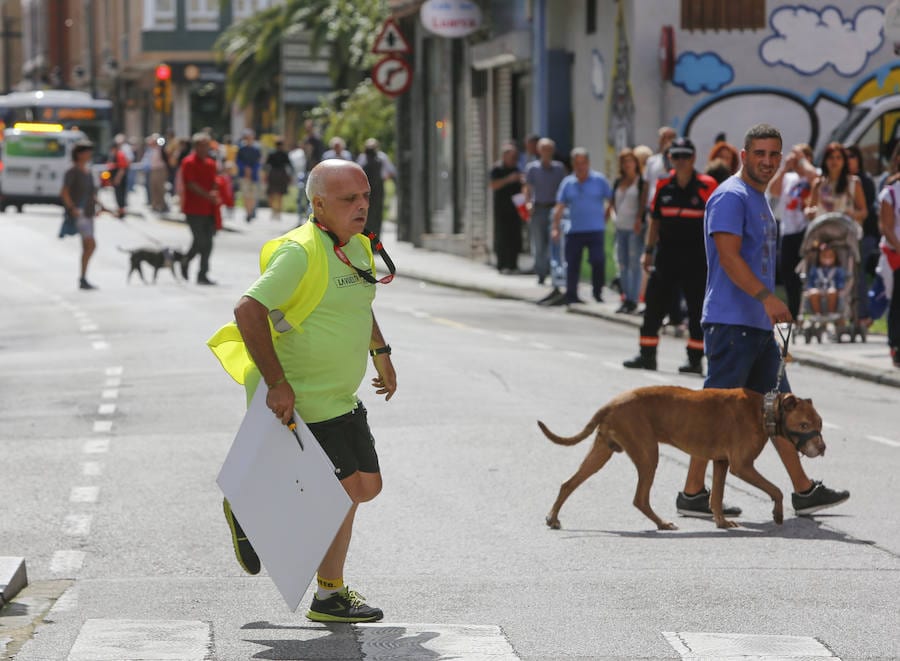 La Vuelta entra en Asturias en su XIII etapa La prueba ha transcurrido desde Candás hasta La Camperona