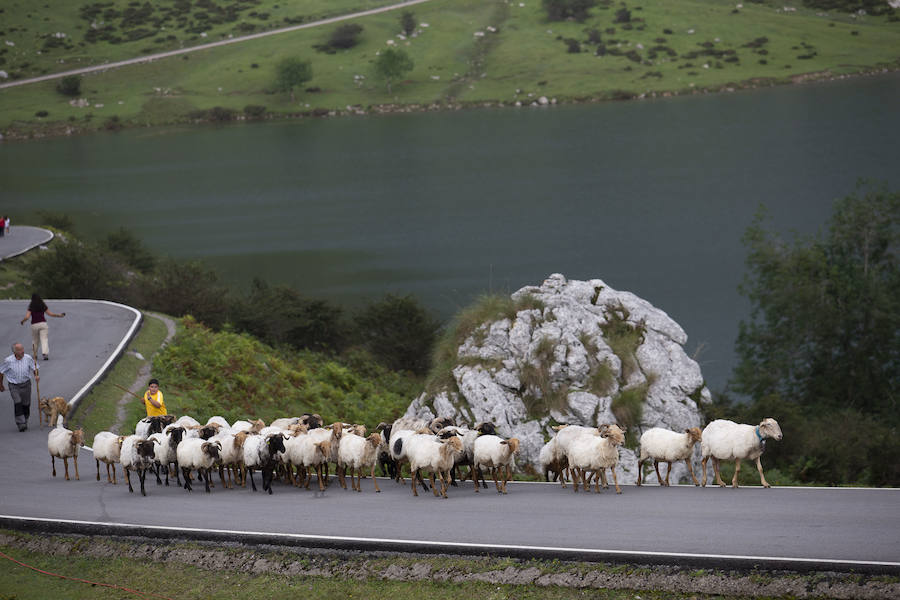 Centenares de personas se han desplazado a Covadonga para ser testigos de un día histórico: la primera visita de la Princesa de Asturias al Real Sitio. 