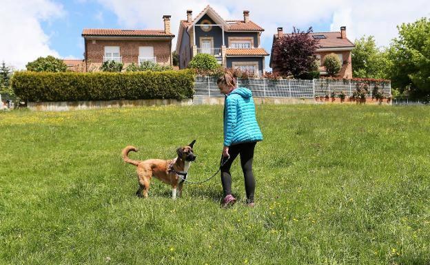 Oviedo dispondrá de seis nuevos parques caninos en meses