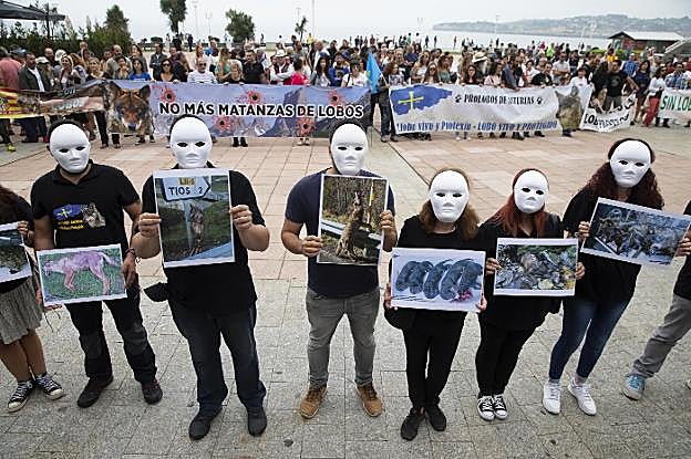 Diferentes colectivos se concentraron en los jardines del Náutico en defensa del lobo ibérico. 