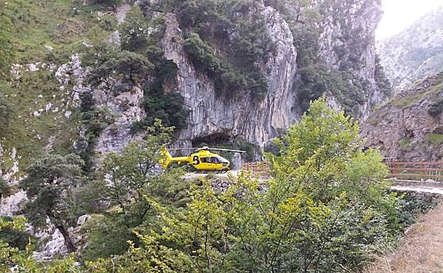 El helicóptero de Bomberos de Asturias, a unos 200 metros del lugar del accidente.