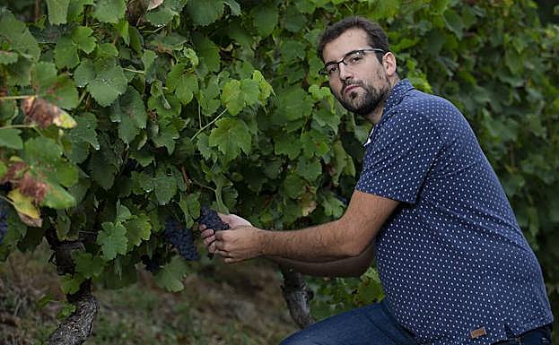 Manuel Rodríguez, director técnico de Vitheras, en uno de sus viñedos de Carballo. 