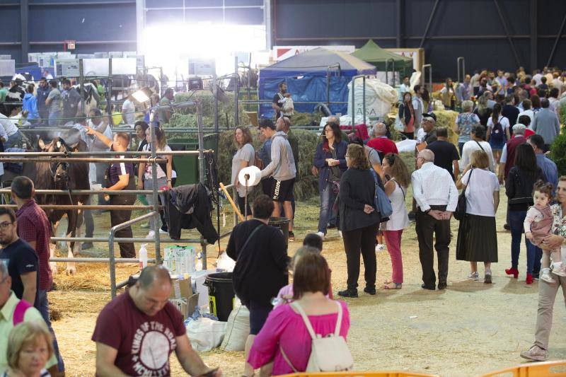 Las reses de la explotación gozoniega arrasa en el concurso de frisonas y la vaca 'Koketa' revalida el título del pasado año.