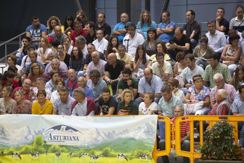 Las reses de la explotación gozoniega arrasa en el concurso de frisonas y la vaca 'Koketa' revalida el título del pasado año.