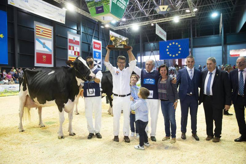 Las reses de la explotación gozoniega arrasa en el concurso de frisonas y la vaca 'Koketa' revalida el título del pasado año.