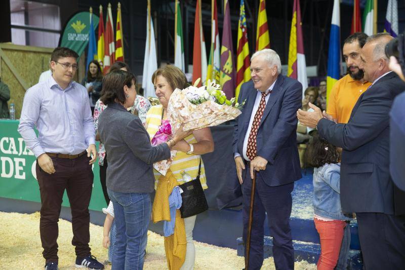 Las reses de la explotación gozoniega arrasa en el concurso de frisonas y la vaca 'Koketa' revalida el título del pasado año.