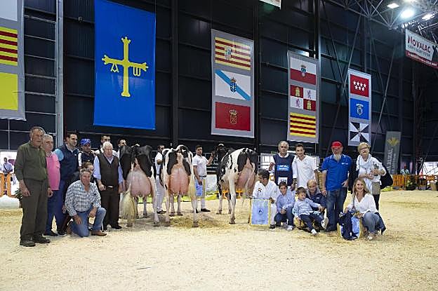'Elora', 'Kenda' y 'Koketa' lucen ubres y posaderas junto a trabajadores de Badiola y varias generaciones de la familia ganadera de Gozón. 