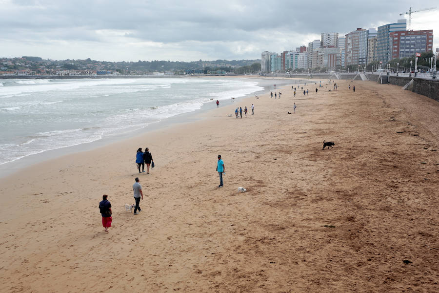 El arenal gijonés de San Lorenzo vuelve a estar disponible para los perros. Hasta el próximo 1 de mayo, podrán disfrutar de las aguas y de la arena entre las escaleras 2 y 8. 