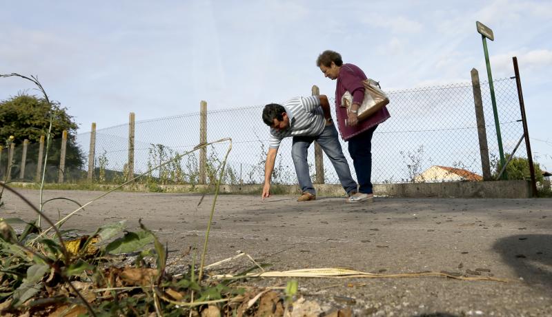 Los vecinos están hartos de tener que convivir con una plaga de la conocida como oruga defoliadora de gramíneas que está invadiendo los terrenos y los caminos de la zona