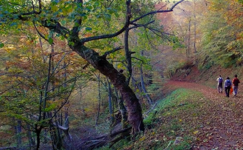 Bosques asturianos para escaparte en otoño