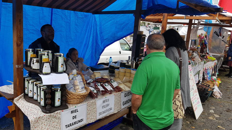 Soto de Luiña celebra 'El mercadín' con expositores de productos del campo 