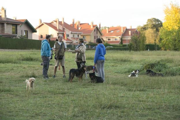 Varios propietarios con sus perros, ayer, en una de las zonas verdes de La Fresneda. 