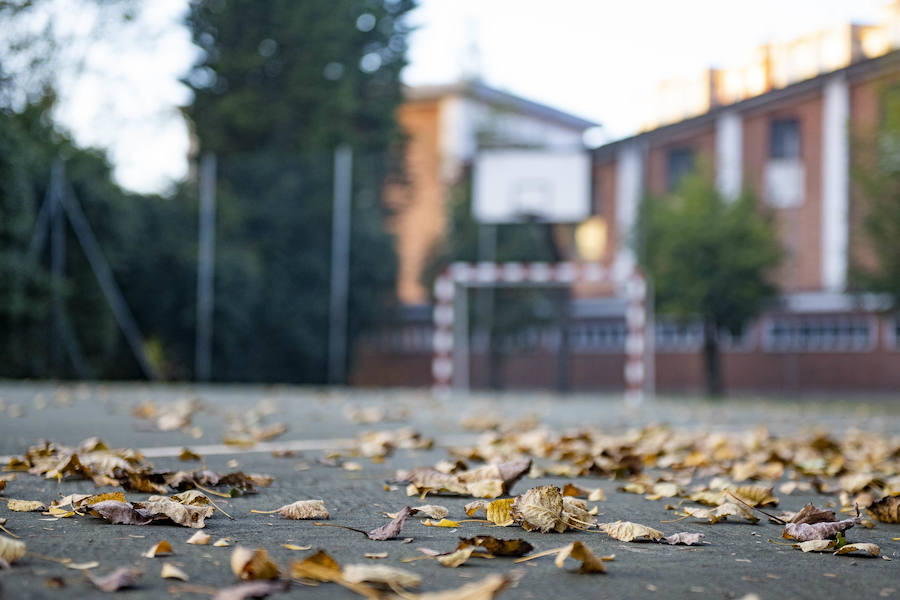 Ha llegado para quedarse... hasta diciembre, y ofrecernos unas espectaculares imágenes monocolor. Rincones bucólicos más propios de sueños de que despertares. Melancolía asturiana en verde y ocre.