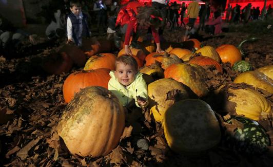 'Calabazas y Calaveras' es la propuesta del Jardín Botánico. 