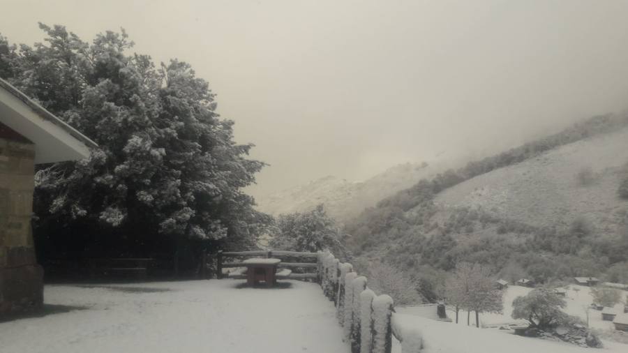La ola de frío ha llegado a Asturias y ha cubierto las zonas de alta montaña de la región de blanco con las primeras nevadas