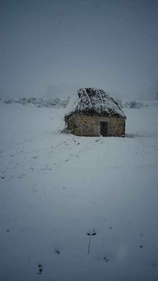 La ola de frío ha llegado a Asturias y ha cubierto las zonas de alta montaña de la región de blanco con las primeras nevadas