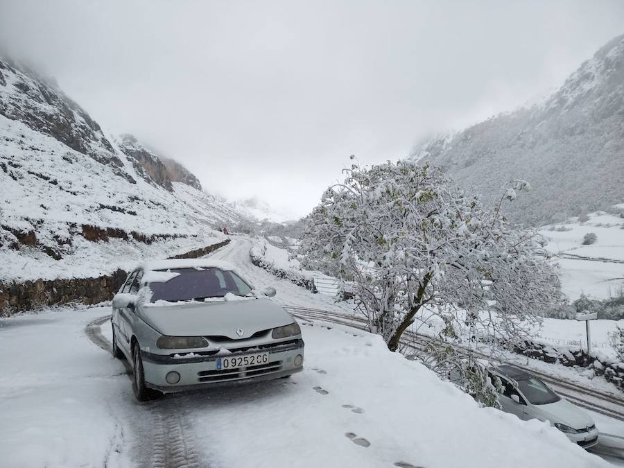 La ola de frío ha llegado a Asturias y ha cubierto las zonas de alta montaña de la región de blanco con las primeras nevadas