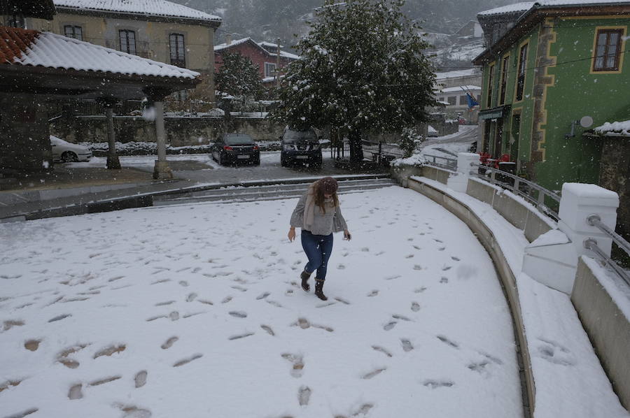 Los concejos del oriente asturiano llucen un manto blanco