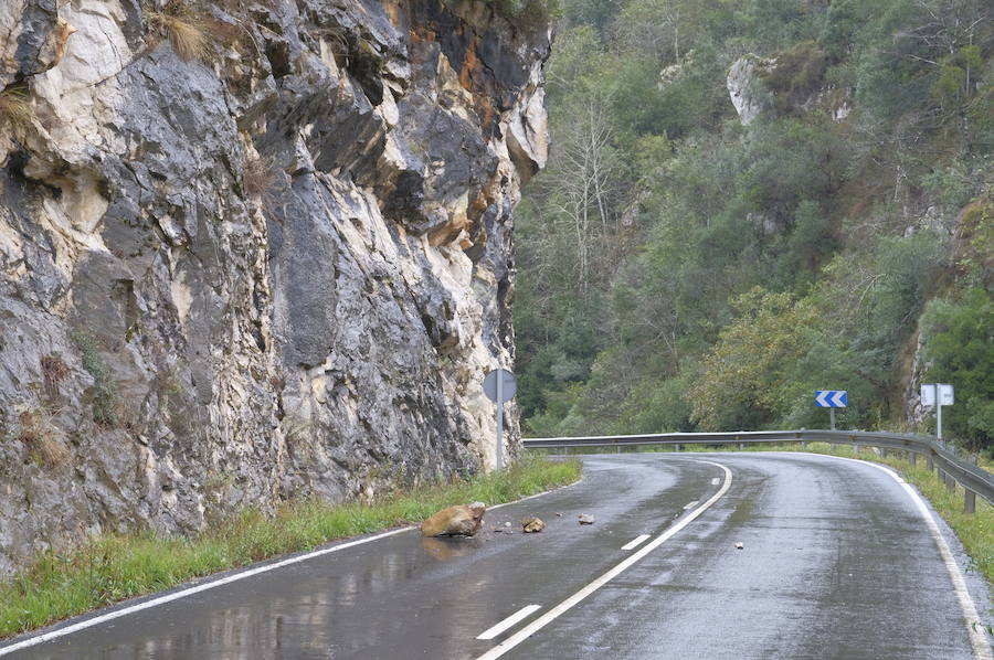 Los concejos del oriente asturiano llucen un manto blanco