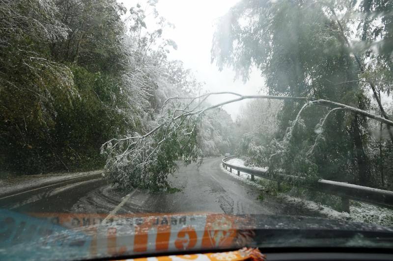 Los concejos del oriente asturiano llucen un manto blanco