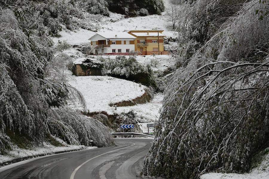 El temporal se ha recrudecido y además de complicar la comunicación con la Meseta, ha ocasionado numerosas incidencias. La nieve ha cubierto muchos puntos de la región dejando estampas totalmente invernales