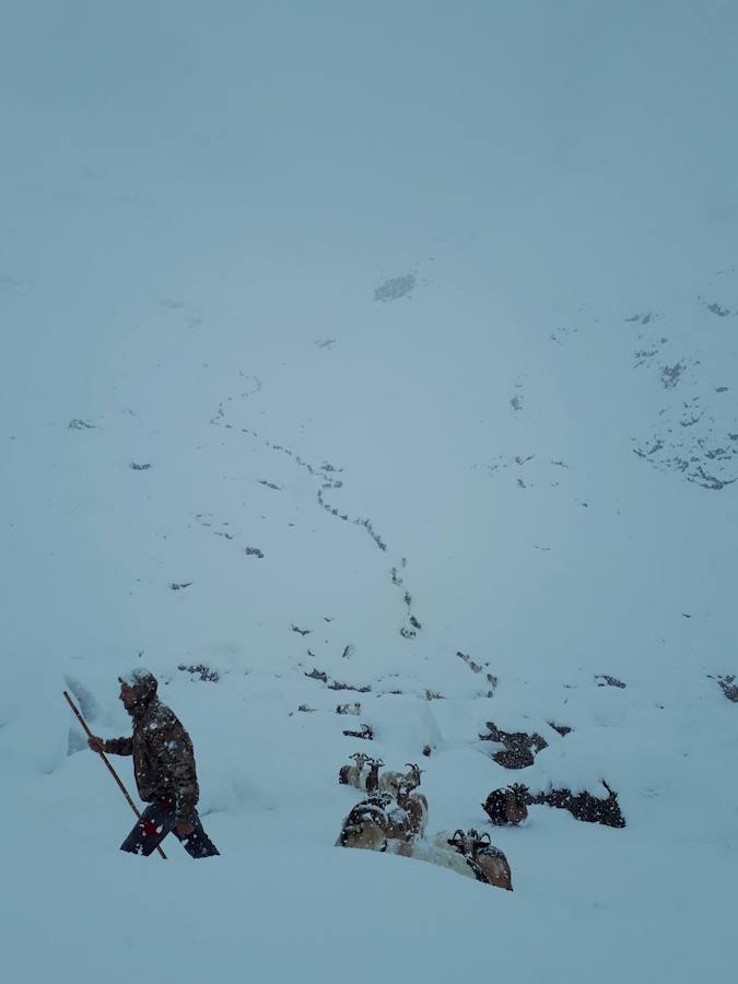 El temporal se ha recrudecido y además de complicar la comunicación con la Meseta, ha ocasionado numerosas incidencias. La nieve ha cubierto muchos puntos de la región dejando estampas totalmente invernales