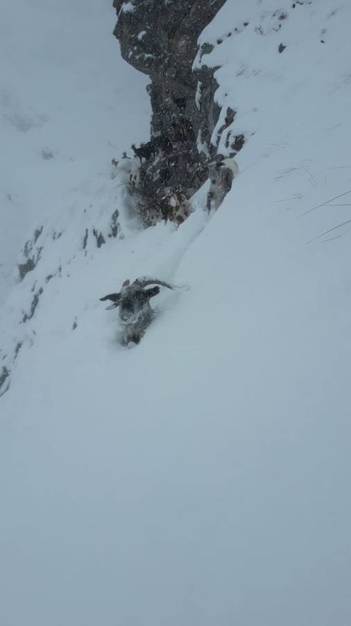 El temporal se ha recrudecido y además de complicar la comunicación con la Meseta, ha ocasionado numerosas incidencias. La nieve ha cubierto muchos puntos de la región dejando estampas totalmente invernales