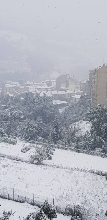 El temporal se ha recrudecido y además de complicar la comunicación con la Meseta, ha ocasionado numerosas incidencias. La nieve ha cubierto muchos puntos de la región dejando estampas totalmente invernales