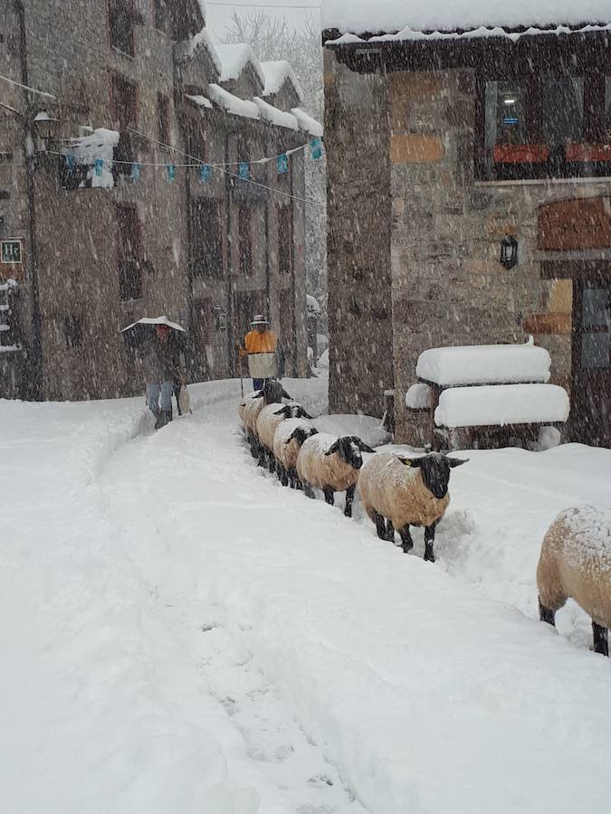 El temporal se ha recrudecido y además de complicar la comunicación con la Meseta, ha ocasionado numerosas incidencias. La nieve ha cubierto muchos puntos de la región dejando estampas totalmente invernales