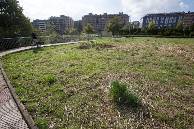 Parcelas municipales. El Ayuntamiento realiza desbroces continuos en zonas como La Grandiella que se puede ver en la imagen. 