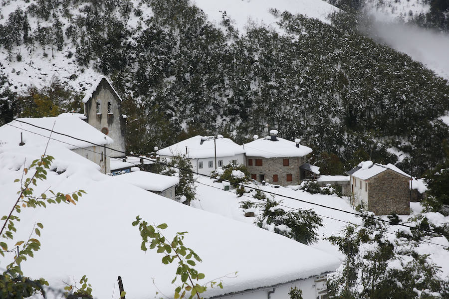 La nieve ha causado estragos en numerosos puntos de Asturias que han necesitado de la ayuda de la Unidad Militar de Emergencias para contrarrestar estos efectos 