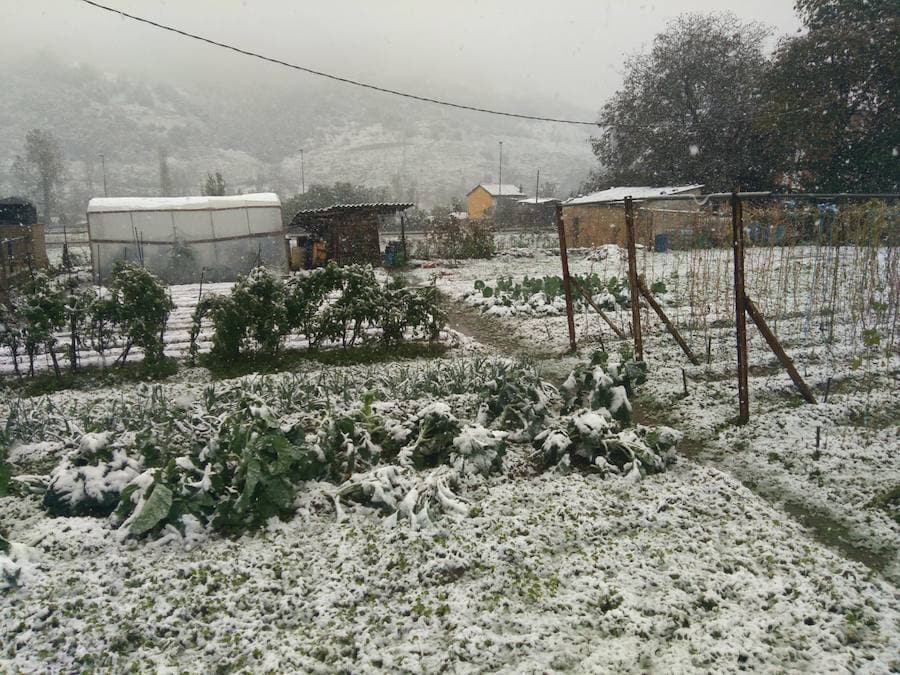 Asturias permaneció prácticamente aislada de la Meseta tanto por carretera como por vía férrea.