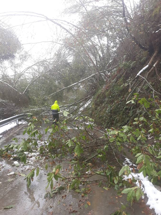 En líneas generales, la semana vendrá protagonizada por más inestabilidad hacia el oeste y menos probabilidad de lluvias hacia el oriente. Las temperaturas serán más altas y la cota de nieve será superior a los 1200/1400 metros