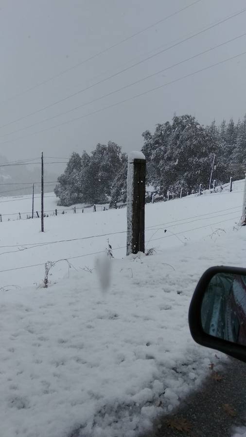 Los cortes de sumninistro eléctrico afectaron a numerosos usuarios y un total de 1.300 alumnos de Degaña, Allande, Cangas del Narcea e Ibias no tendrán clase este lunes.