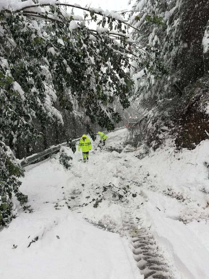 Los cortes de sumninistro eléctrico afectaron a numerosos usuarios y un total de 1.300 alumnos de Degaña, Allande, Cangas del Narcea e Ibias no tendrán clase este lunes.