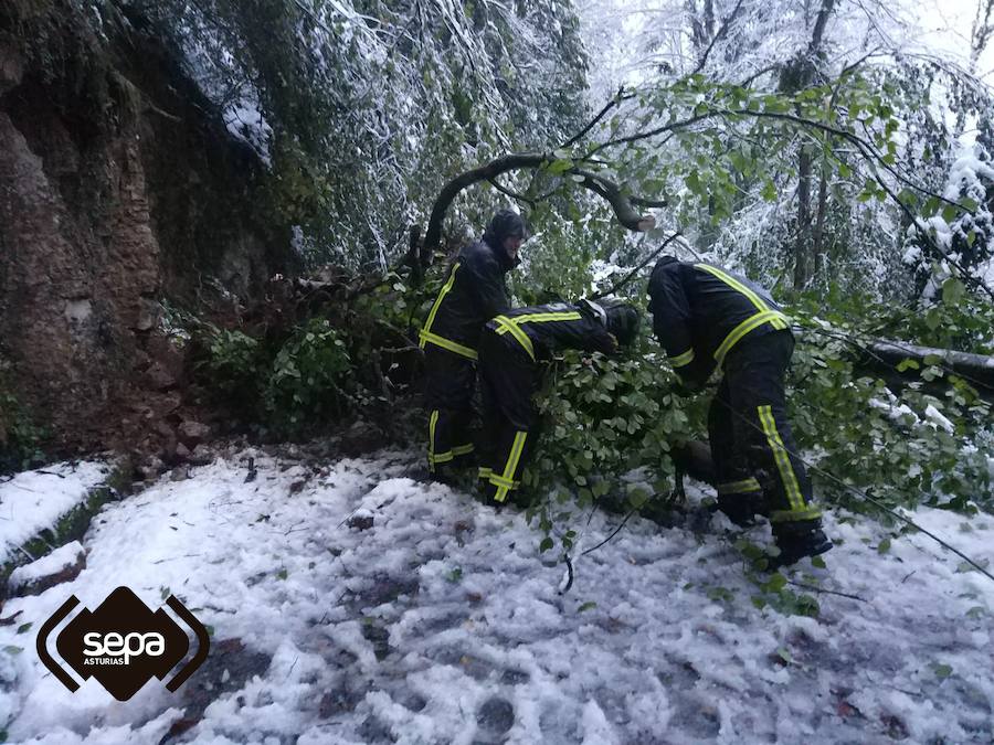 En líneas generales, la semana vendrá protagonizada por más inestabilidad hacia el oeste y menos probabilidad de lluvias hacia el oriente. Las temperaturas serán más altas y la cota de nieve será superior a los 1200/1400 metros