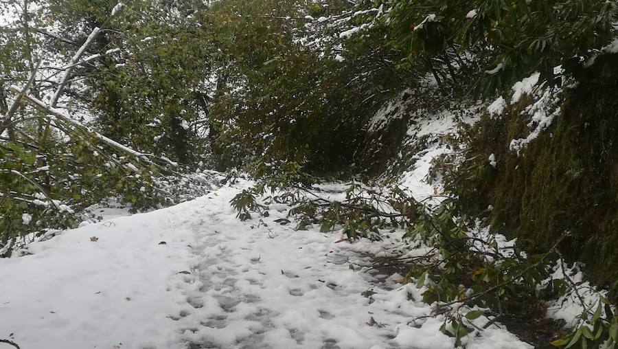 En líneas generales, la semana vendrá protagonizada por más inestabilidad hacia el oeste y menos probabilidad de lluvias hacia el oriente. Las temperaturas serán más altas y la cota de nieve será superior a los 1200/1400 metros