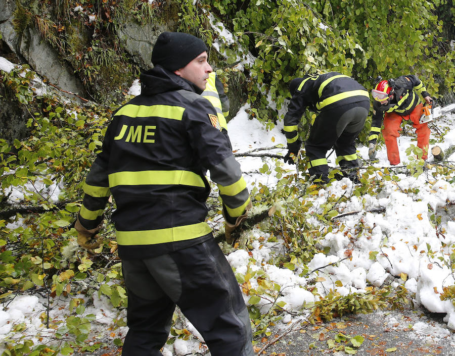 El Principado pide la ayuda de la Unidad Militar de Emergencias para hacer frente a las nevadas. 107 efectivos y 22 vehículos militares trabajan en la retirada de árboles caídos y en la apertura de carreteras en zonas del occidente. Esta mañana han rescatado, además, a una persona en Taladrid, en Ibias