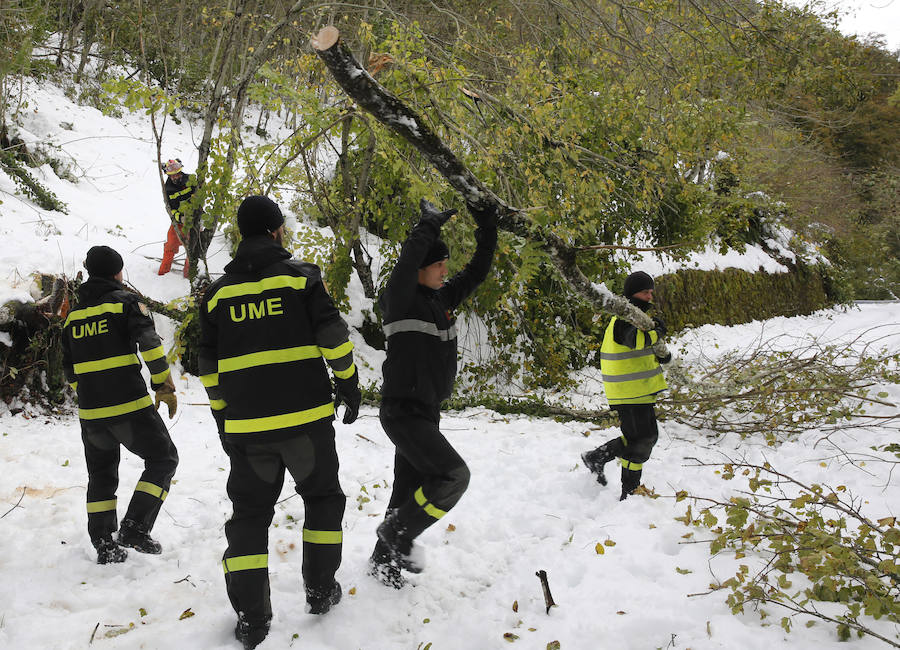 El Principado pide la ayuda de la Unidad Militar de Emergencias para hacer frente a las nevadas. 107 efectivos y 22 vehículos militares trabajan en la retirada de árboles caídos y en la apertura de carreteras en zonas del occidente. Esta mañana han rescatado, además, a una persona en Taladrid, en Ibias