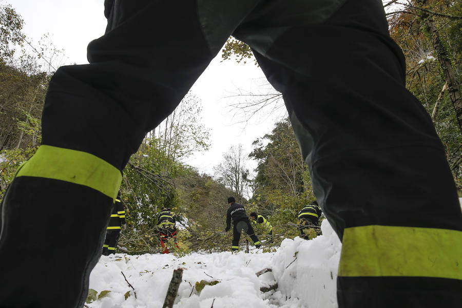 El Principado pide la ayuda de la Unidad Militar de Emergencias para hacer frente a las nevadas. 107 efectivos y 22 vehículos militares trabajan en la retirada de árboles caídos y en la apertura de carreteras en zonas del occidente. Esta mañana han rescatado, además, a una persona en Taladrid, en Ibias