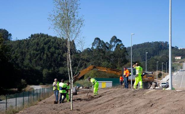 Operarios trabajando en el proyecto AsturSludge, en el que se investiga el aprovechamiento del compost procedente de lodos de depuradora. :: 