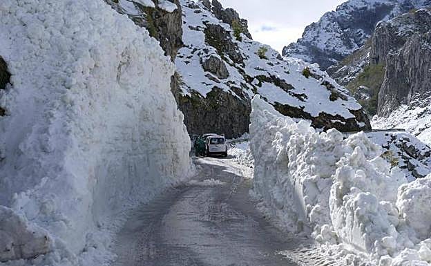 Vía abierta esta mañana en Sotres tras el paso de la quitanieves. 
