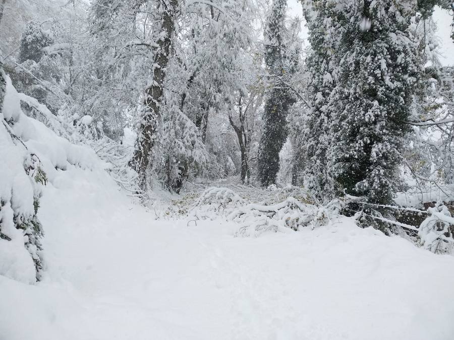 Este martes subirán las temperaturas con vientos de suroeste-oeste. Para mañana, esperamos un día, en líneas generales, muy similar al de hoy